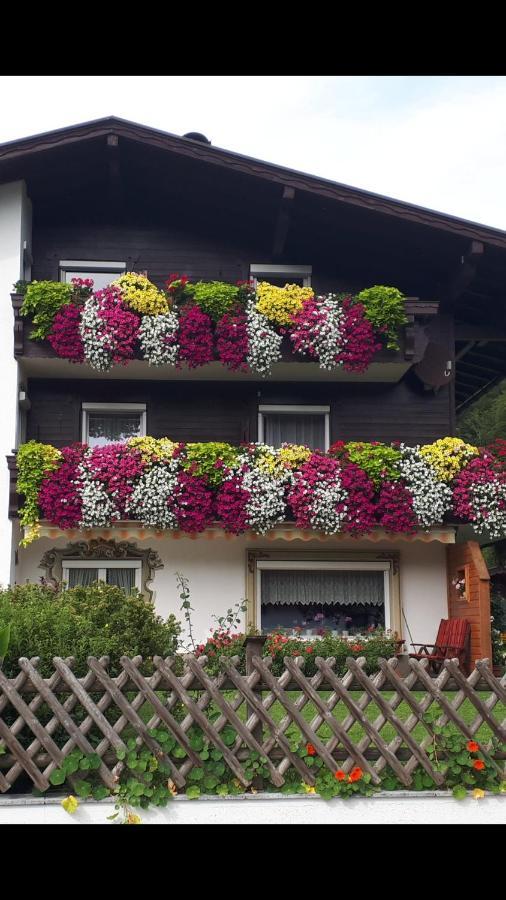 Apartament Haus Bergblick Walchsee Zewnętrze zdjęcie